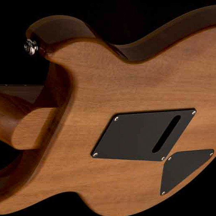GUITARRA ELECTRICA PRS SE CARLOS SANTANA SASY SANTANA YELLOW