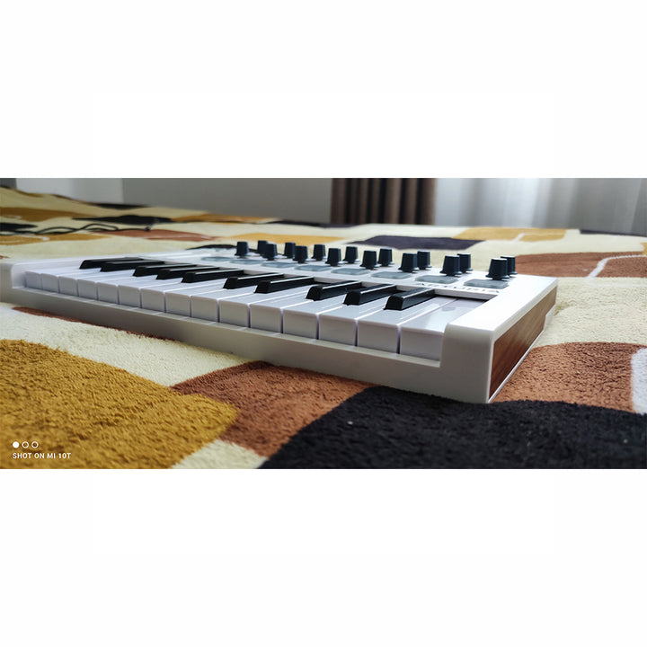 CONTROLADOR MIDI ARTURIA MINILAB MKII (USADO)